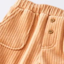 Baby Boys' 2pc Fox Sweatshirt & Corduroy Pants Set - Cloud Island™ Navy Blue -1st Step Store GUEST 7d0b53b1 b30a 4baf a600 eccf517e4a3e